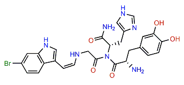 Halocyamine A